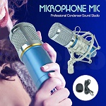 Pro Blue Condenser Dynamic Microphone Mic Sound Studio Recording Shock Mount