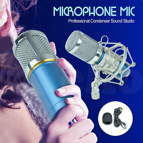 Pro Blue Condenser Dynamic Microphone Mic Sound Studio Recording Shock Mount 