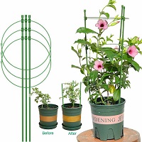 2216 Conical Garden Plant Support Ring for Different Sized Pots Support Flowers Stalk