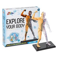 Amazing Human Body Activity Sets 