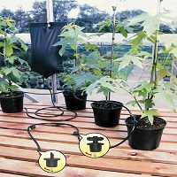 Add a review for: Instant Drip Watering Gravity Fed Irrigation Plants Greenhouse System Water Kit