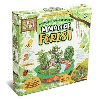 Paint and Grow Your Own Miniature Forest Planter Pebbles Wooden House Create